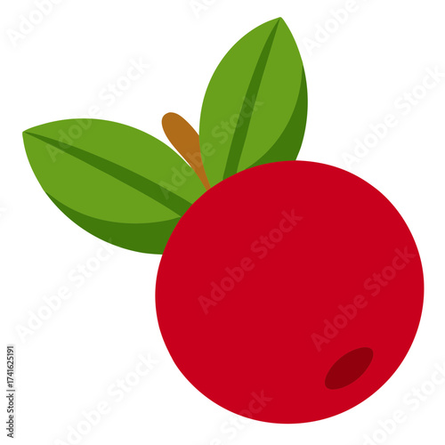 Illustration of a vibrant cranberry with green leaves, a tart and healthy fruit often used in sauces and juices