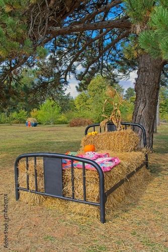 Straw Bed Outside In The Field