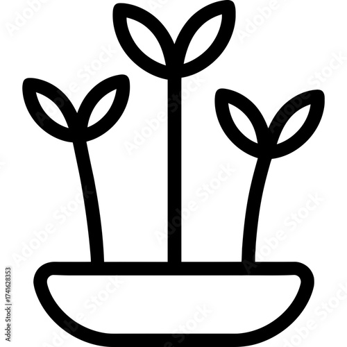 Minimalistic icon of sabzeh sprouts