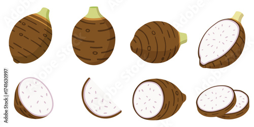 taro isolated on white background.vector cartoon style	