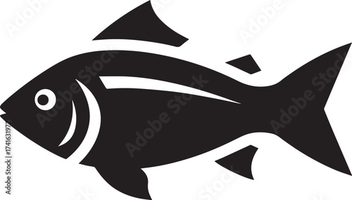 fish on a white background
