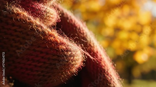 Warm Red Sweater Texture and Autumnal Bokeh, Beautiful Colors and Nature's Harmony