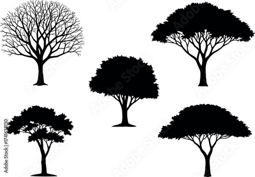 Set of Tree Silhouettes with Diverse Shapes and Foliage Patterns for Nature, Landscape, Botany, Forest, and Environmental Design Concepts