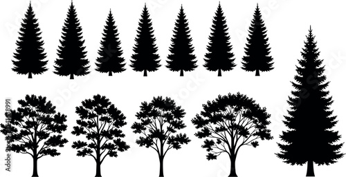 Silhouette collection of coniferous and deciduous trees in vector format for nature, forest, landscape, botanical, and design themes
