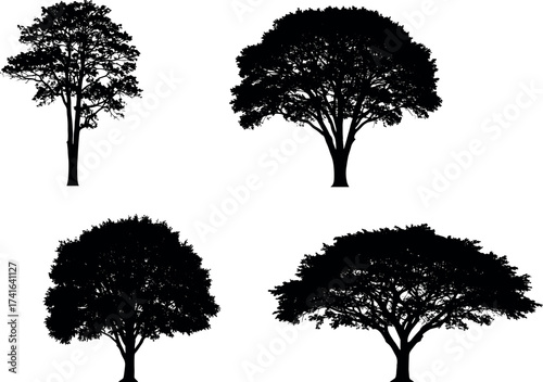 Silhouette set of diverse tree species with unique canopy shapes for nature, landscape, forest, and botanical vector design themes