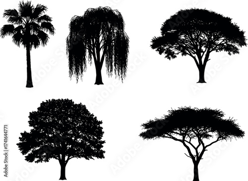 Silhouette collection of tropical, deciduous, and ornamental trees with diverse canopy shapes for landscape, nature, and botanical vector design themes