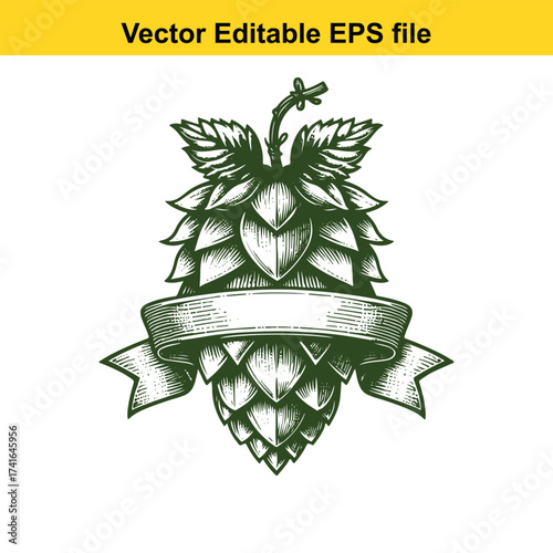 Vector art of vintage hop cone with banner