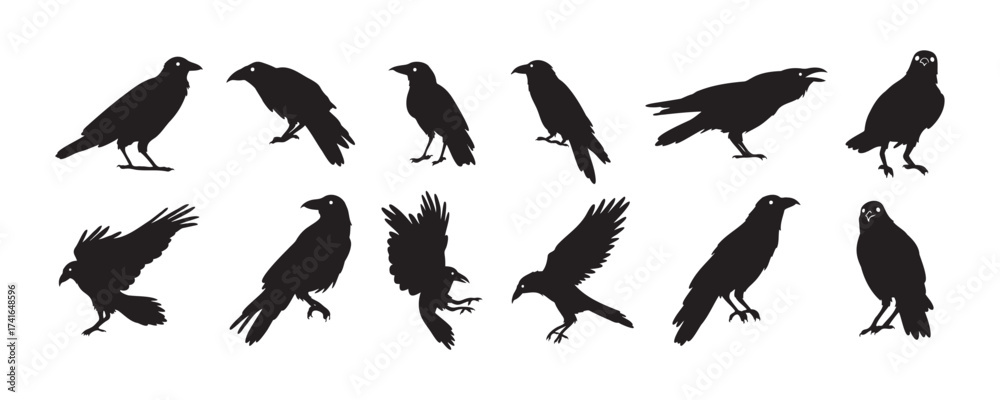 Obraz premium Crow isolated black silhouette set. Crows, raven halloween Dark birds icon clipart