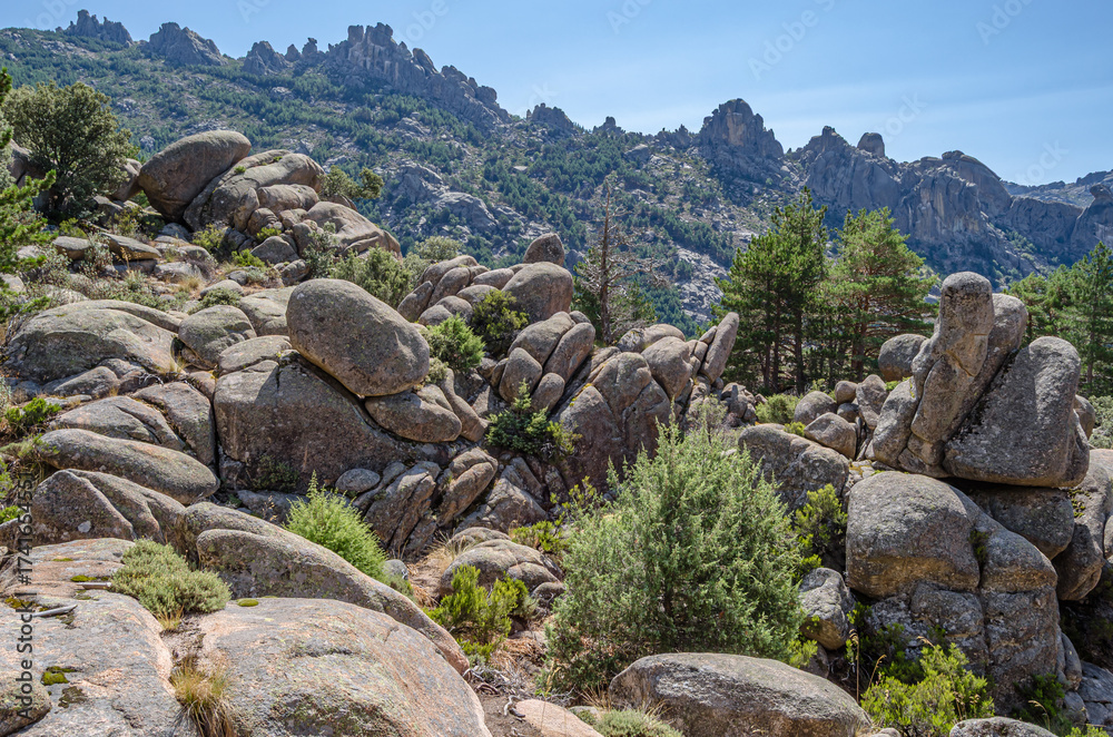 Obraz premium Landscape in La Pedriza, a large granite batholith in the Guadarrama Mountains, Spain