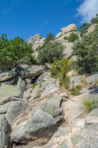 Landscape in La Pedriza, a large granite batholith in the Guadarrama Mountains, Spain
