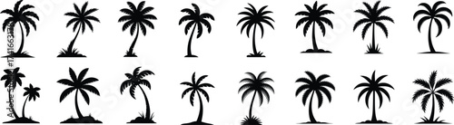 Tropical Palm Tree Silhouette Vector Icon Set 