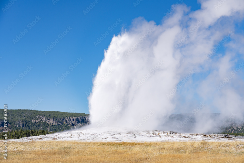 Obraz premium Old Faithful is a cone geyser in Yellowstone National Park in Wyoming, United States. Hydrothermal System. The Yellowstone Caldera / Yellowstone Plateau Volcanic Field. Yellowstone hotspot. 