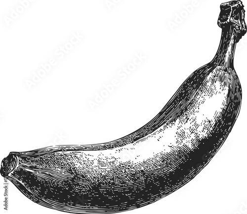 Banana sketch hand drawn style detailed fruit illustration — stock vector
