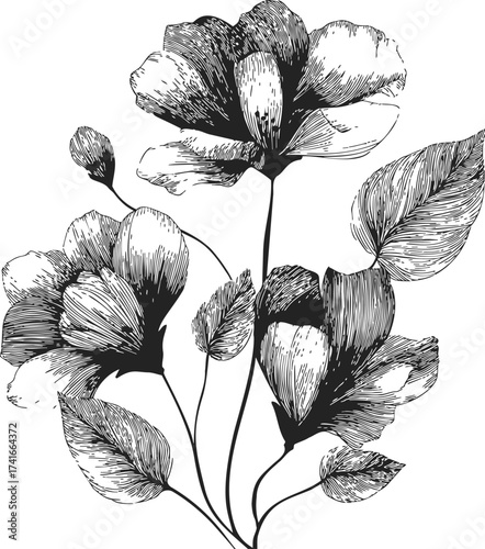 Flowers sketch hand drawn black and white botanical illustration with leaves — stock vector