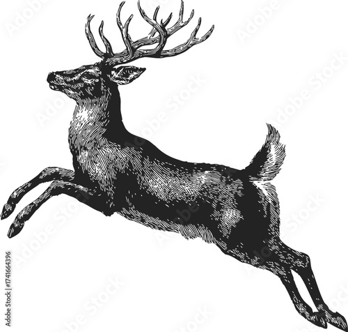 Leaping deer sketch hand drawn detailed wild animal with antlers — stock vector