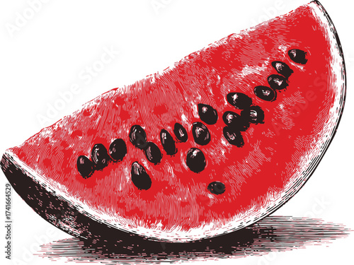 Watermelon slice hand drawn sketch with seeds and rind — stock vector