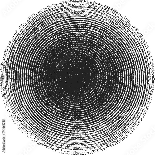 Tree rings sketch, hand drawn cross section showing annual growth rings — stock vector