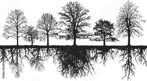 Tree silhouettes sketch hand drawn with visible roots reflection — stock vector