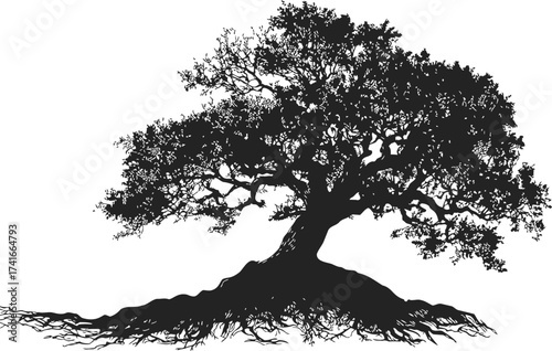 Tree silhouette sketch, hand drawn style with sprawling roots and detailed branches — stock vector