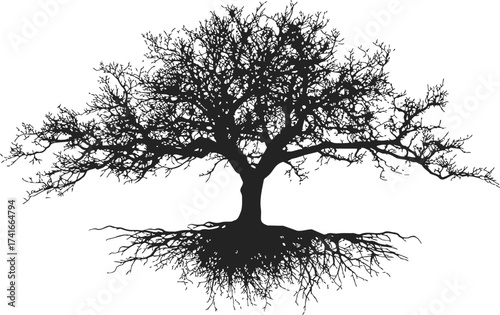 Tree silhouette sketch, hand drawn style, detailed branches and roots — stock vector
