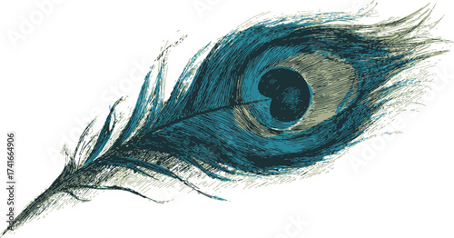 Peacock feather sketch, hand drawn style with detailed blue and green eye pattern — stock vector