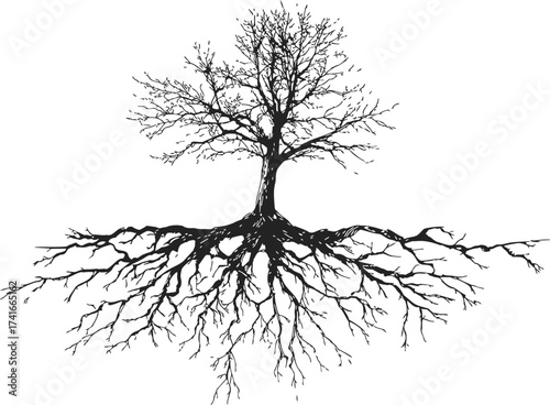 Tree with roots sketch, hand drawn silhouette, detailed branches and roots — stock vector