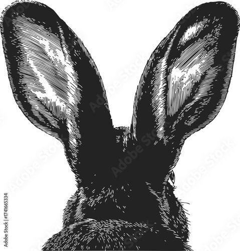 Rabbit head sketch, hand drawn style, close up of ears, black and white — stock vector