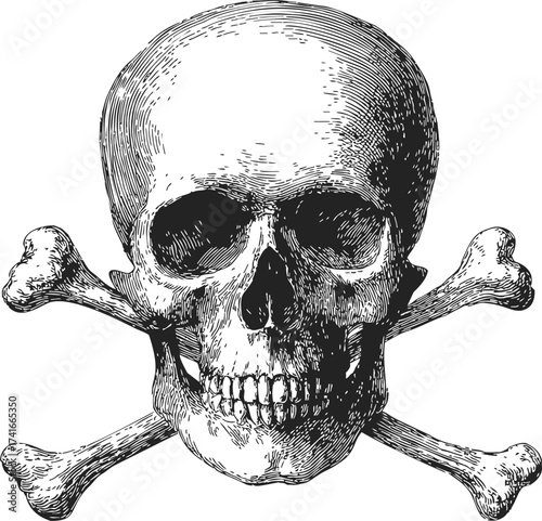 Skull and crossbones sketch, hand drawn vector, classic pirate symbol, detailed engraving — stock vector