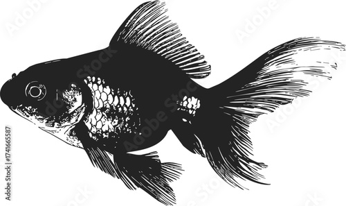 Goldfish sketch hand drawn style with detailed fins and scales — stock vector