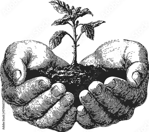 Hands holding young plant sketch, hand drawn style, nurturing seedling with soil — stock vector