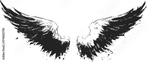 Wings sketch hand drawn grunge style black ink splatter isolated — stock vector