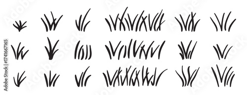 Doodle bunch of grass. Hand drawn lawn bush of grass icon hand drawn set. Outline grass line drawing clipart symbol collection
