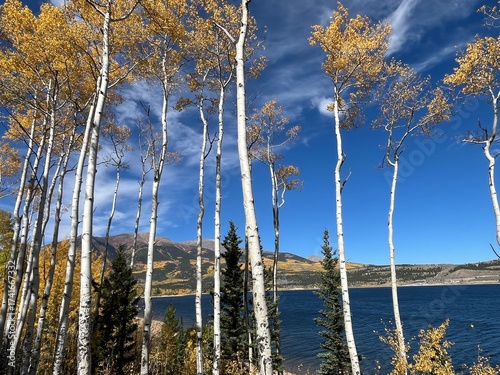 Autumn trees by a lake