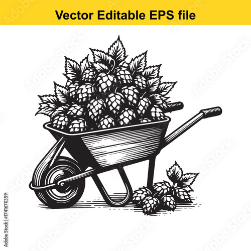 Vector art of vintage wheelbarrow filled with hops