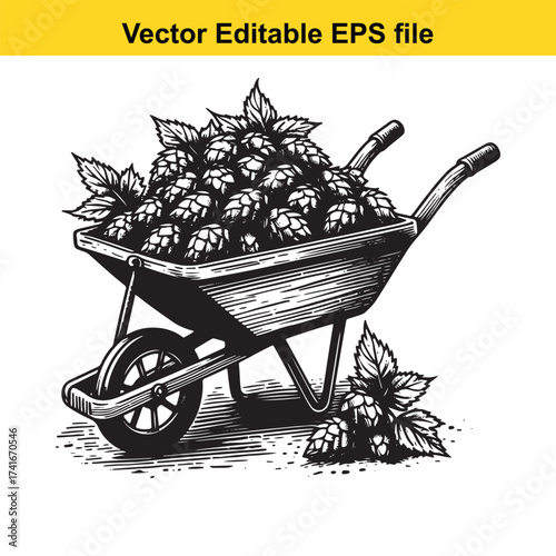Vector art of wheelbarrow full of hops