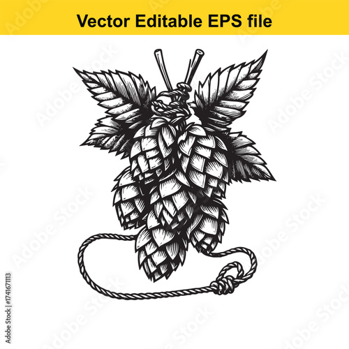 Vector art of bunch of hop cones tied with rope