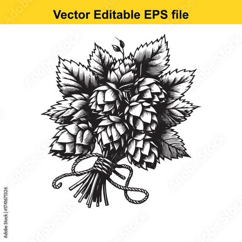 Vector art of bouquet of hop cones tied with rope