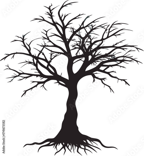 Silhouetted leafless tree with detailed roots and branching structure