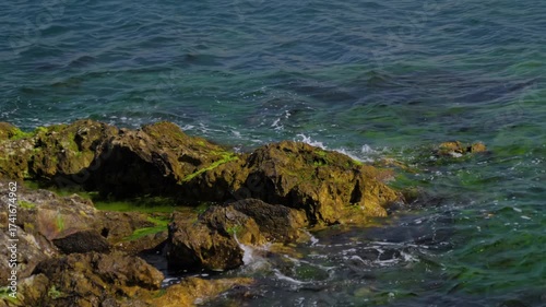 Sea waves crashing against rocky shore with green algae on wet stones - close up. The movement of water creates a dynamic coastal scene