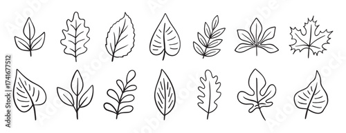 leaves different trees doodle hand drawn icon set. Outline drawing line clipart symbol collection
