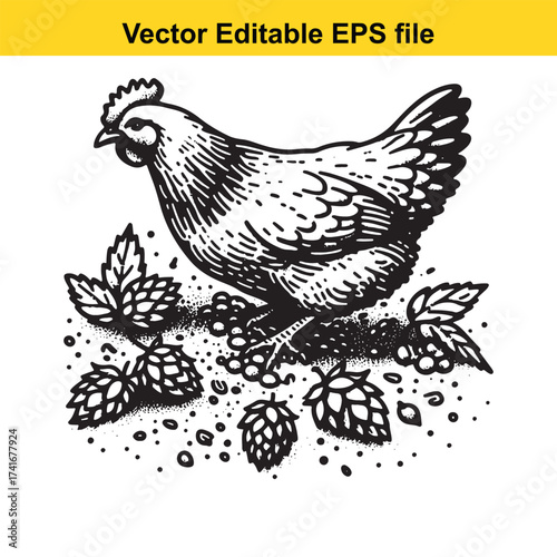 Vector art of hen standing among hops
