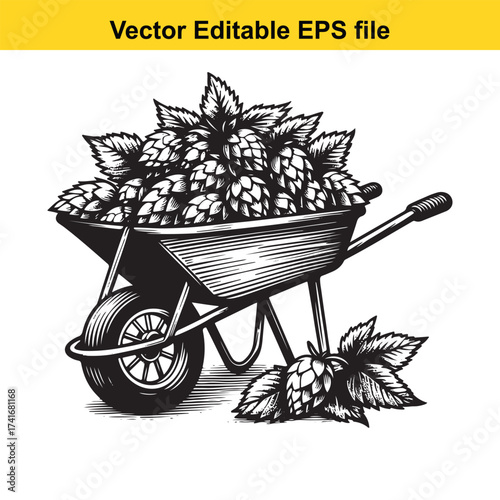 Vector art of wheelbarrow full of hops