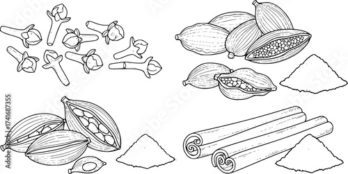 Whole and ground spices in outline. Cloves cardamom and cinnamon vector set.