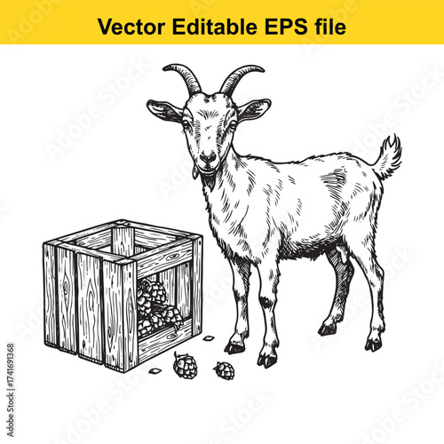 Vector art of goat standing next to a wooden crate full of grapes