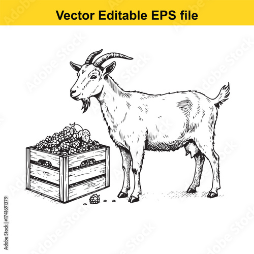 Vector art of goat standing next to a wooden crate full of grapes