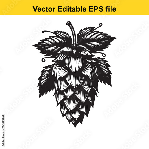 Vector art of black and white illustration of a hop cone