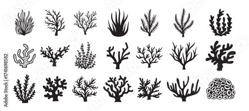 Coral silhouettes, seaweed black icon. Abstract organic corals shape, underwater plant, sea doodle. Cartoon marine floral isolated set 