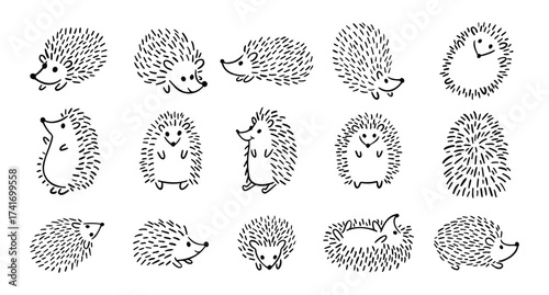 Doodle hand drawn cute hedgehog set. Hand drawn adorable hedgehog collection. Outline drawing for children.