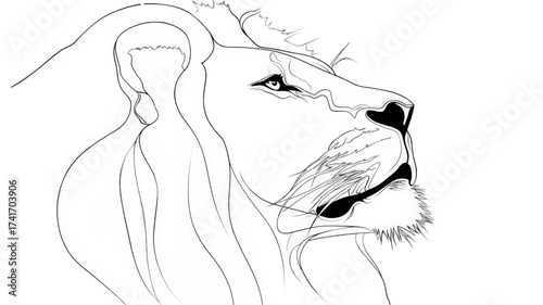 Majestic Lion Head Profile Line Art Sketch.