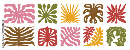 palm tree leaves boho silhouette nature set. groovy summer palm leaf geometric poster. summer abstract square tropical icons freehand retro style